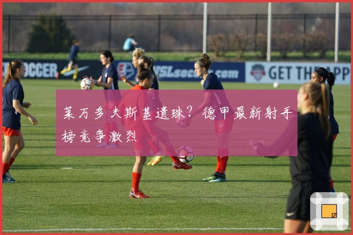 莱万多夫斯基遗珠？德甲最新射手榜竞争激烈